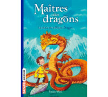 MAITRES DES DRAGONS, TOME 01 - LE POUVOIR DU DRAGON DE TERRE