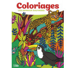 GRANDS COLORIAGES ANI SAUVAGES
