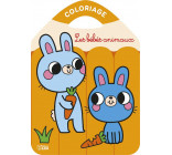 COLO CRAYONS COULEURS BEBES AN