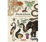 ANIMALIUM - 50 CARTES POSTALES