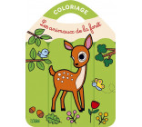COLO CRAYONS COULEURS FORET