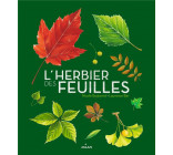 L-HERBIER DES FEUILLES