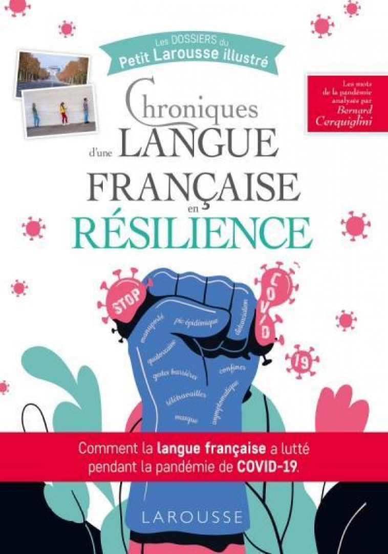 CHRONIQUES D-UNE LANGUE FRANCAISE EN RESILIENCE - CERQUIGLINI BERNARD - LAROUSSE