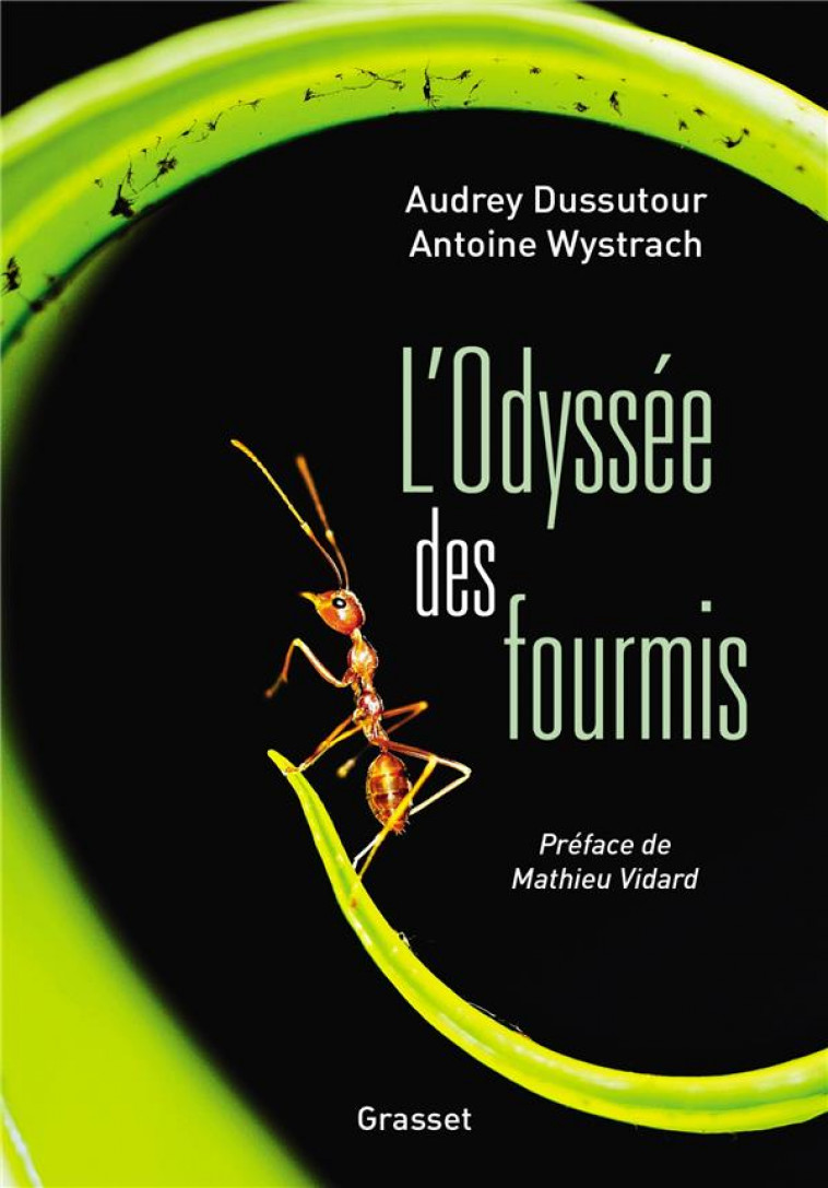 L-ODYSSEE DES FOURMIS - PREFACE DE MATHIEU VIDARD - DUSSUTOUR/WYSTRACH - GRASSET