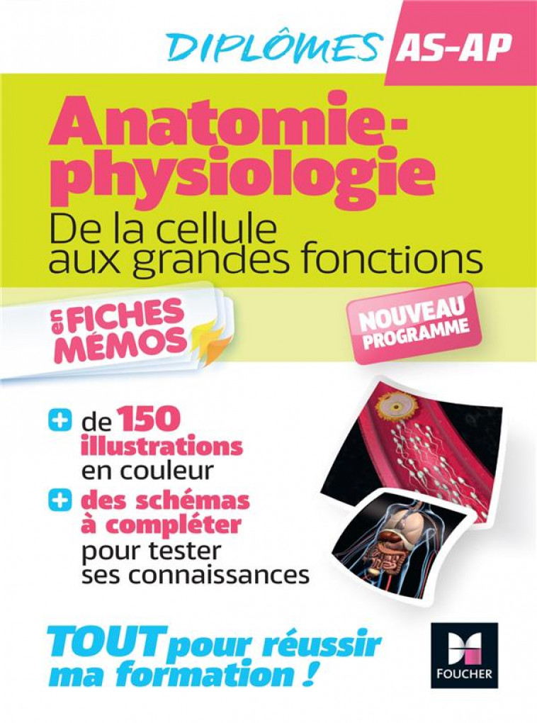 ANATOMIE-PHYSIOLOGIE - DE LA CELLULE AUX GRANDES FONCTIONS - ABBADI/DIEUDONNE - FOUCHER