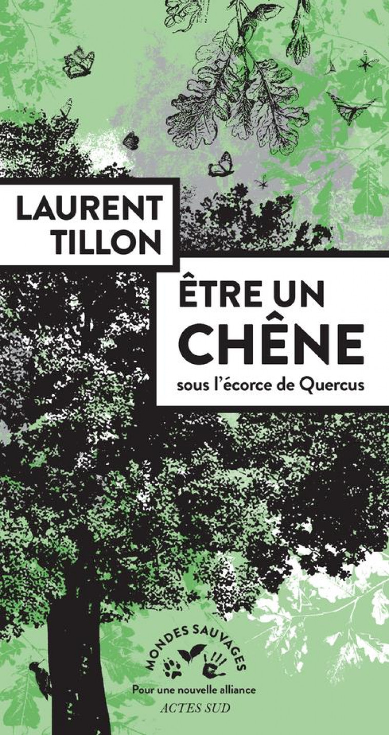 ETRE UN CHENE - SOUS L-ECORCE DE QUERCUS - TILLON LAURENT - ACTES SUD